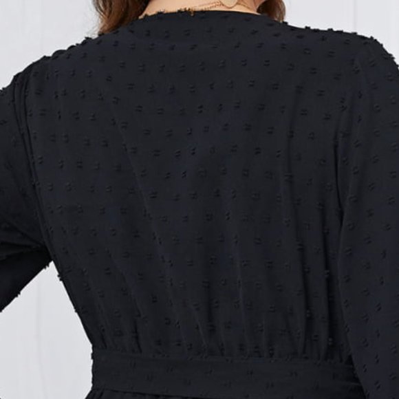 Melo Apparel Plus Size Swiss Dot Tie Waist V-Neck Dress - Picture 9 of 10